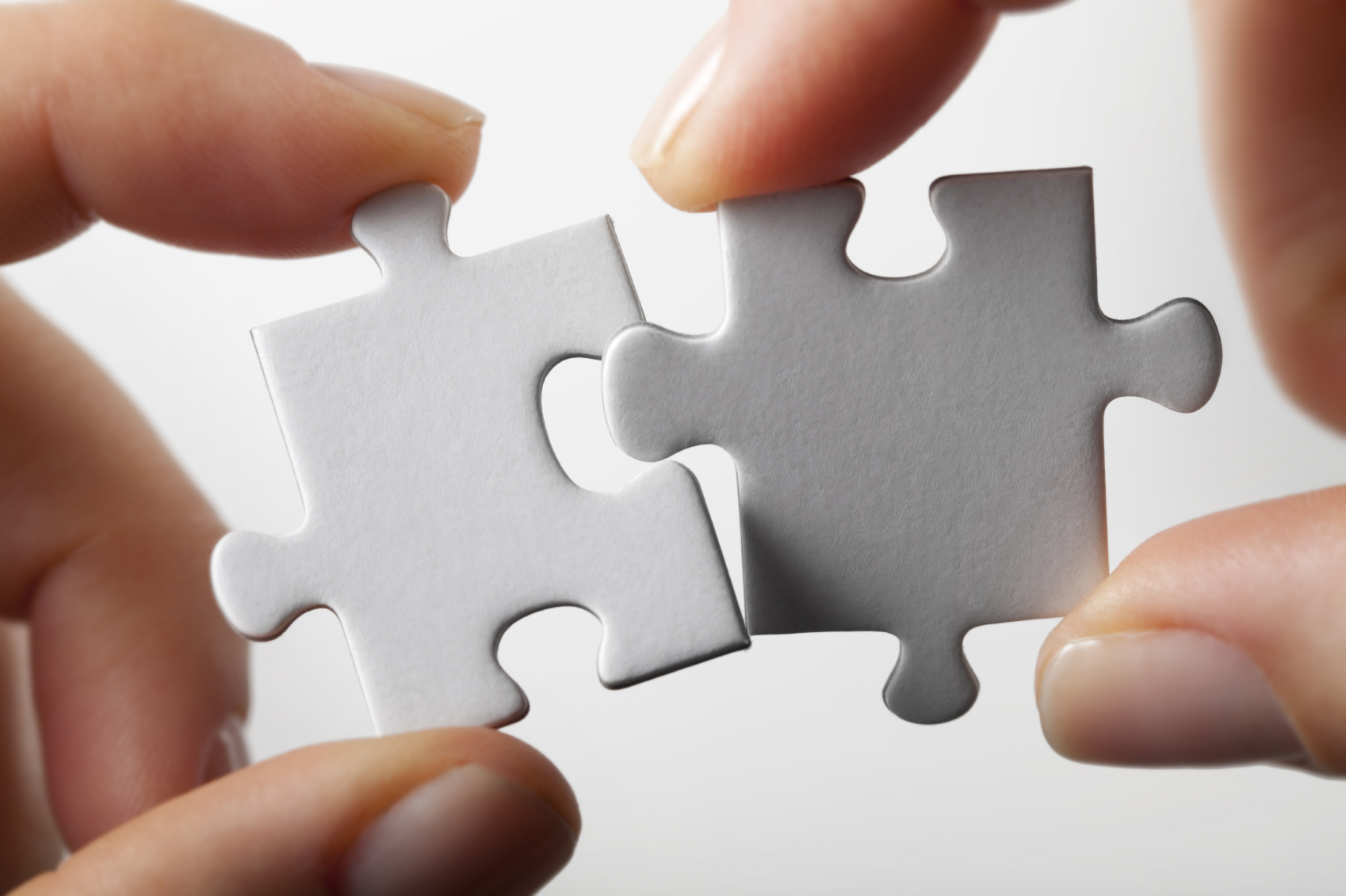 intelligence_collective_3